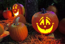 Fénylik, mint Salamon töke – nem is annyira idegen a magyaroktól a tökfaragás