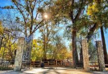 Minden adott a Duna-parti romantikához