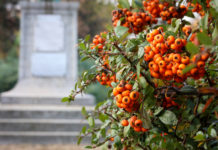 Ősszel a városban – Szavazzon, melyik hely a kedvence ősszel!