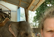 A dunakeszi srác, aki reality forgatásokkal járta be a világot