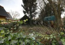 Több vevő is akad a “dunakeszi ördög”, Pándy házára