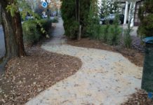 Kész a járda, és a fa is megmaradt