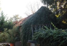 Máig üresen áll a “dunakeszi ördög” háza