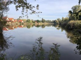 Keresik a megoldást a Tőzegtavak körül kialakult helyzetre