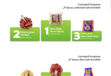 A legszűkebb elit tagja a magyar GoldenBurg burgonya