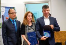 Szakmai szövetség díjazta a dunakeszi szabadstrandot