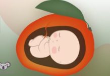 Mesét és zenét ír gyermekeknek a dunakeszi trombitaművész