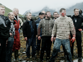 Van-e joga valakinek megölni több száz delfint?