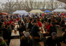 Már lehet jelentkezni a 2024-es Dunakeszi Mindmegeszi toroskáposzta- és böllérversenyre