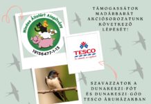 Szavazzanak a Fecskeköszöntő programra a Dunakeszi-Fót, Dunakeszi-Göd Tesco áruházakban
