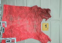 A dunakeszi rendőrök kapták el a gyilkost