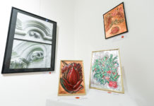 Tavaszi nyitány címmel kezdik meg az évet a helyi képzőművészek