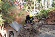 A viharos szél és a balesetek rengeteg munkát adtak Dunakeszin is a tűzoltóknak