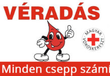 Minden csepp számít – újra véradási lehetőség Dunakeszin