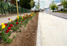 Új parkolók épültek a Piros Óvodánál