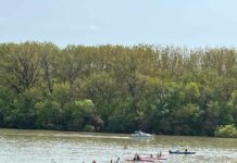 Dunakeszi sikerek a Lupa-Kupán