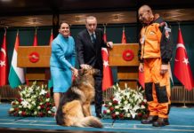 Mancs egyedi volt, Remény viszont az ő reinkarnációja