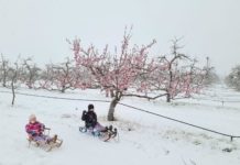 Megússzuk a tavaszt havazás nélkül?