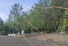 Elkezdték a növények telepítését a Keszi sétánynál