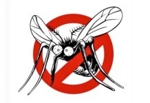 Szúnyoggyérítés Dunakeszin