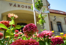 Huszonnégyezer virágot ültetnek el városszerte