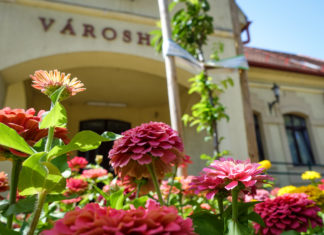 Főkertészt keres a Dunakeszi Polgármesteri Hivatal