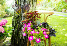 Varázslatos kertek Dunakeszin