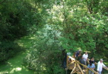 Önökön múlik, tud-e nyerni a dunakeszi Teknős Tanösvény a rangos elismerésen