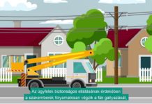 Új útvonalon kezdik meg a gallyazást a városban