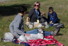 Jön a felturbózott kutyás piknik