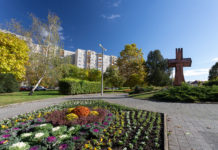 Zöld város – díjak, és ami mögötte van