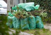 FRISSÍTVE – Így juthat ingyen zöldhulladék-gyűjtő zsákhoz Dunakeszin