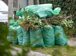 Ha figyel, újabb 16 ingyen zöldhulladék-gyűjtő zsákhoz juthat
