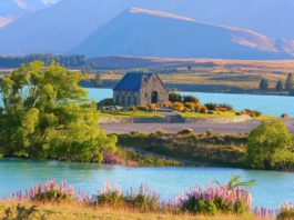 Ingyen utazhatnak Új-Zélandra a dunakeszi diákok a Kőrösi Csoma Sándor-program új pályázatával