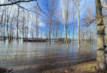 Az árvíz miatt másodfokú védekezési készültséget rendeltek el Dunakeszin