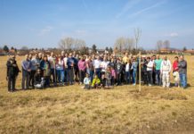 Szereti Alsót? Jöjjön, ültessen fát!