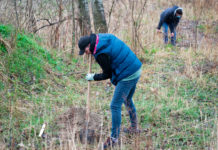 Akkor kell fát ültetni, amikor jól esik