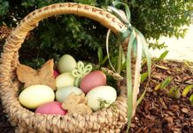 Húsvéti programok: Dunakeszi játszótereit ajánlotta a turisztikai szakember