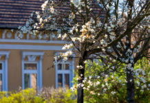 Tavaszi környezetvédelmi dömping