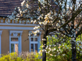 Tavaszi szüneti kalandok: játszóterezés, alkotópályázat és a magyar költészet napja