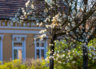 Tavaszi szüneti kalandok: játszóterezés, alkotópályázat és a magyar költészet napja