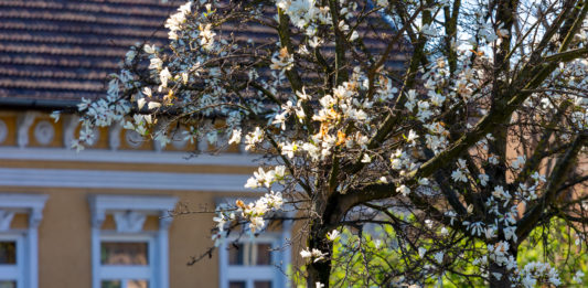 Tavaszi szüneti kalandok: játszóterezés, alkotópályázat és a magyar költészet napja