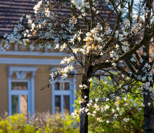 Tavaszi szüneti kalandok: játszóterezés, alkotópályázat és a magyar költészet napja