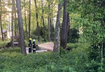 Lángra kapott a Duna-parti aljnövényzet