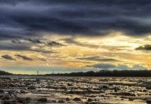 Ők örülhettek a legjobban a fotópályázaton