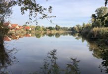 Elhunyt férfit emeltek ki egy tőzegtóból Dunakeszin