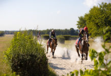 Szavazzon a helyi értékekre!