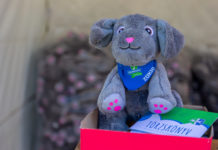 Szereted Zoknit? Írj róla egy történetet