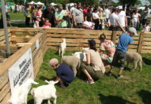 Megvan az Állati jó családi nap részletes programja