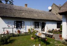 Turisztikai ügynökség: 2024 rekordév lehet az első negyedéves számok alapján